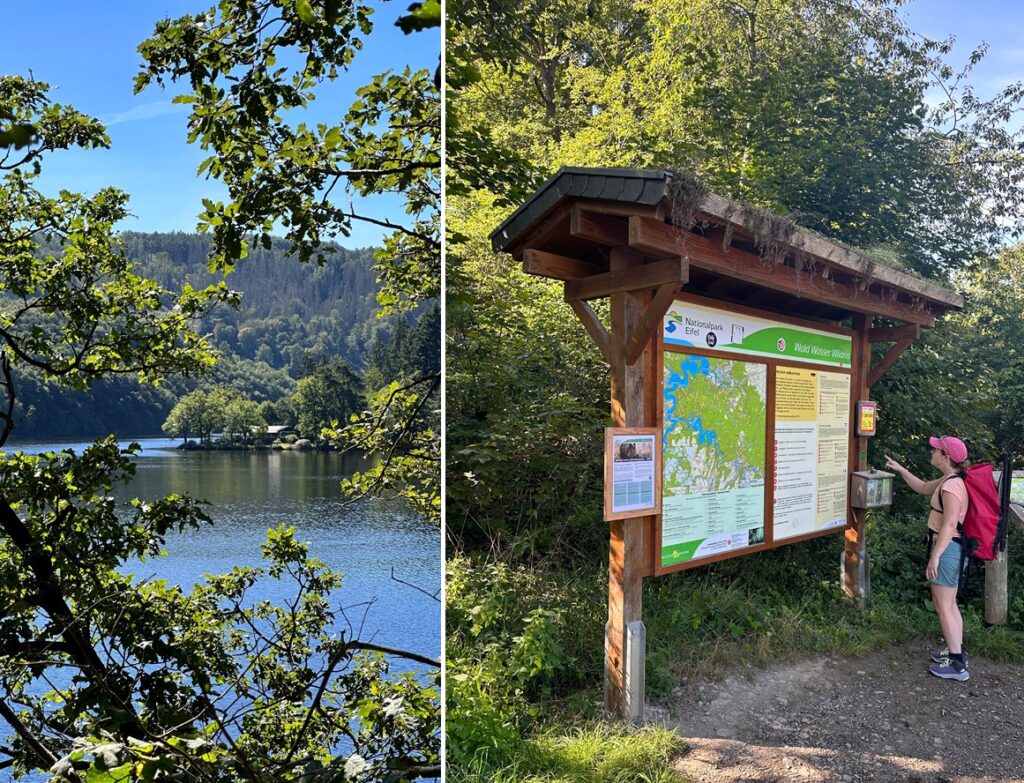 Wanderer liest die Wanderkarte am Eingang des Nationalparks Eifel, Deutschland