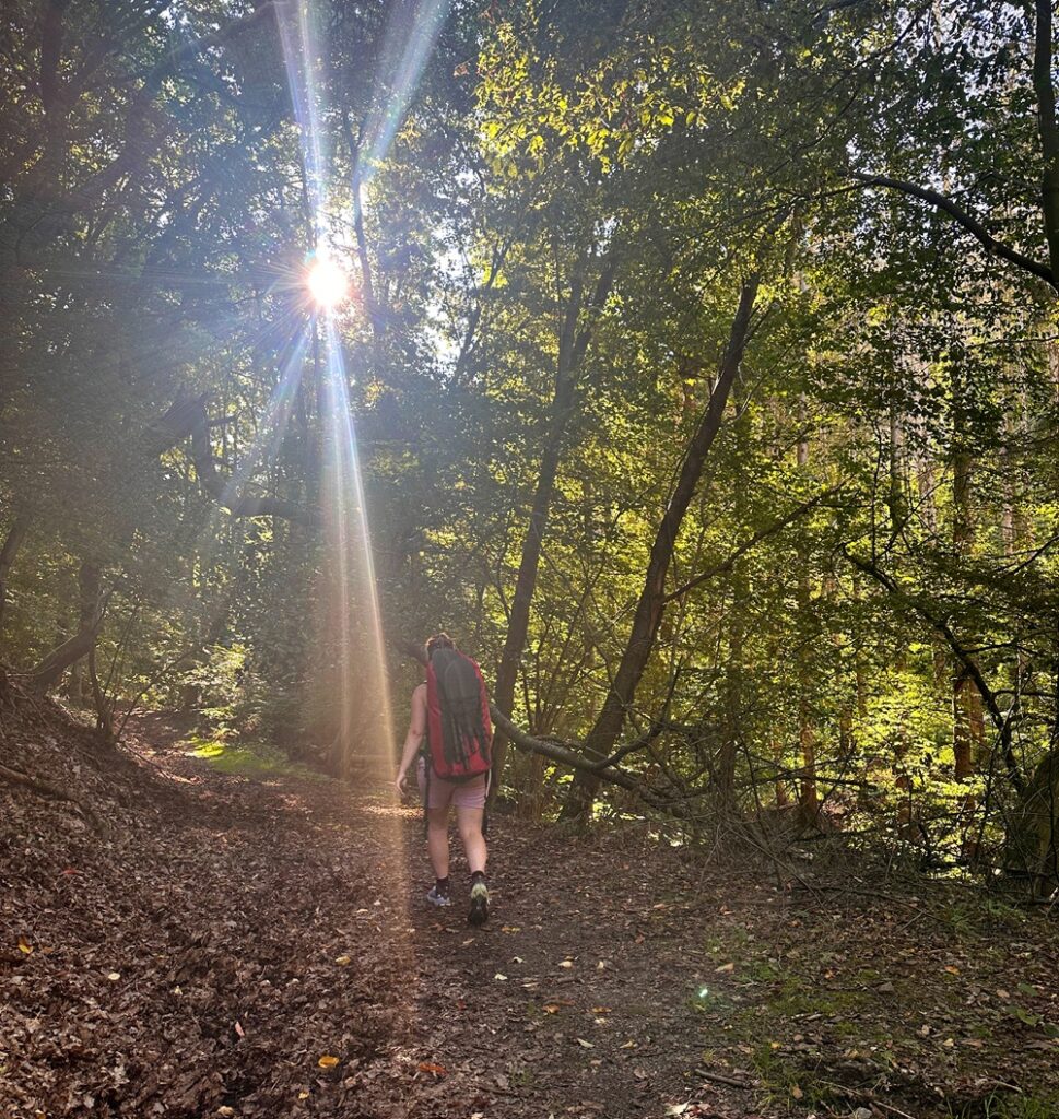 Wanderweg durch den Wald während eines Packrafting-Abenteuers in Deutschland